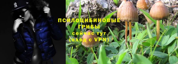 спайс Абаза