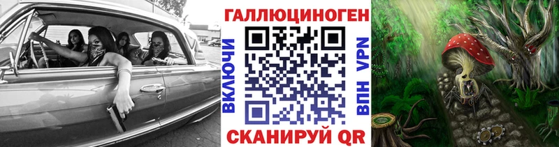 это телеграм  Энем  Псилоцибиновые грибы Cubensis 